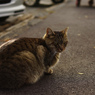 DSC00112