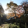 逆光の瑞泉寺