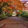彩の山門