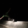 IMG_1075
