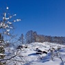峠のわが家