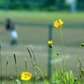 初夏の聖蹟桜ヶ丘#8