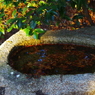 神社にて