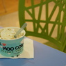 今日もＭＯＯ　ＣＯＷ