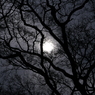 useing@