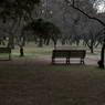 useing@