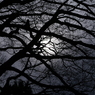 useing@