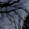 useing@
