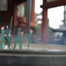 興福寺にて