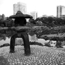 過去から・・・｢陰陽｣