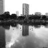 陰陽＃06