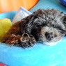Sleepy...