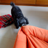My bed