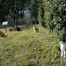 日比谷公園１