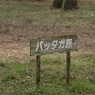 useing@