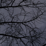 useing@