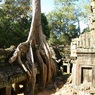 Ta Prohm