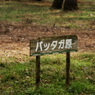useing@