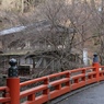 京都-高雄-冬