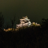 岐阜城の冬夜景（南からの眺め）