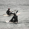 Paddle