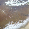 水際