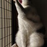 おーい！