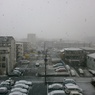 ２０１３年初雪