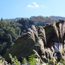 白川郷
