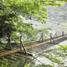 夢の懸け橋