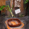熊本　黒川温泉　温泉卵