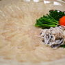 大分　別府温泉　フグ刺し