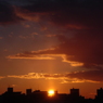 Rise
