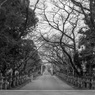 加佐美神社⑩