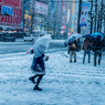 ある雪の日の秋葉原(客引きのメイドさん)
