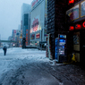 ある雪の日の秋葉原(小さな雪だるま)