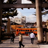 １月ももうなかば
