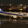 ANA B787-8