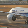 ANA B787-8