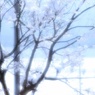 輝きたいの