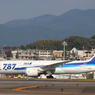 ANA B787-8