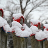 雪の中のお地蔵さん