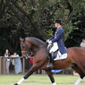 馬場馬術