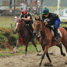 草競馬レース