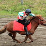 ポニー競馬