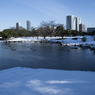 雪の浜離宮庭園⑧