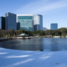 雪の浜離宮庭園⑪