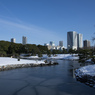 雪の浜離宮庭園⑬