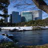 雪の浜離宮庭園⑯