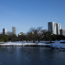 雪の浜離宮庭園⑳